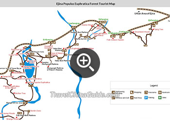 Map of Populus Euphratica Forest in Ejina