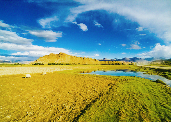 Shigatse in summer