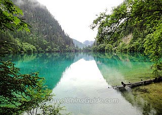 Panda Lake