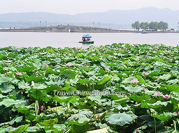 West Lake Lotus Festival