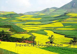 Dragon's Backbone Rice Terraces, Longsheng