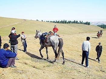 Ride a horse in the pasture