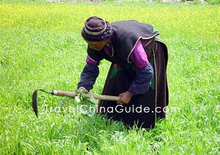 Tibetan people