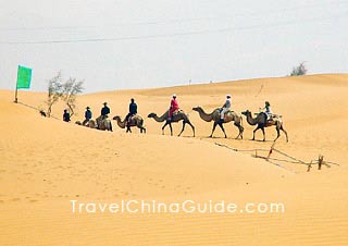 Camel riding in desert, Yinchuan