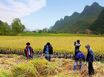 Autumn in Yangshuo