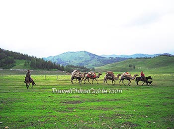 Kanas Lake Area, Xinjiang