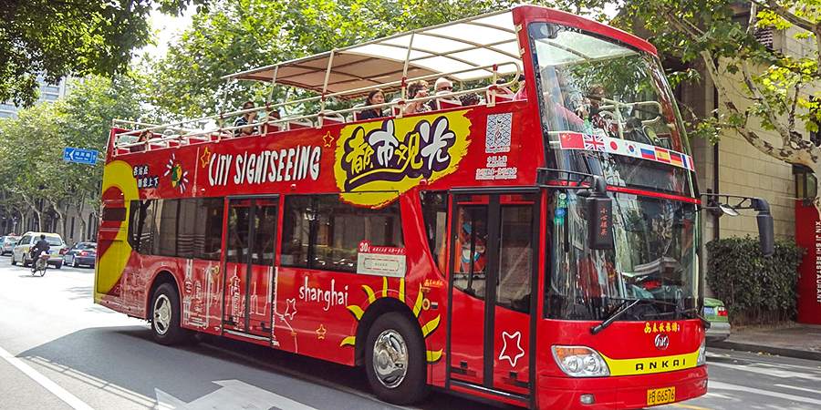 Sightseeing Bus