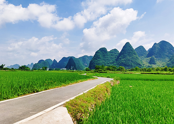 Country Road at Yangdi Village