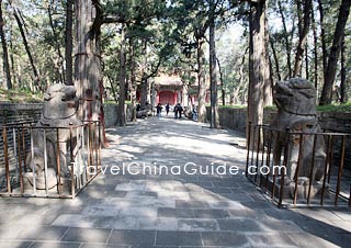 Cemetery of Confucius, Qufu