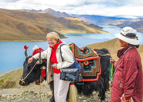 Tibetan and Yak