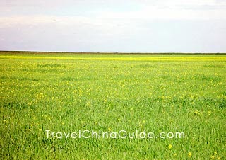 Enchanting Scenery around Bird Island 