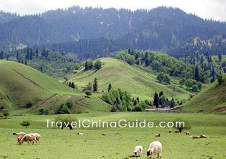 Bayanbulak Grassland, Bayingolin 