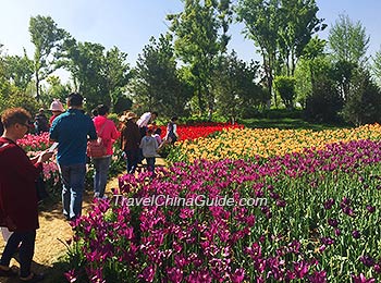 Xi'an Botanical Garden 