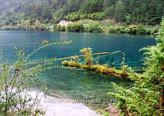 Rhinoceros Lake, Jiuzhaigou