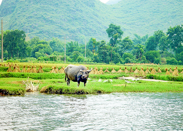 Charming Scenery around Fishing Village 