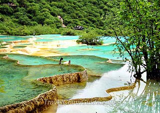 Multi-Color Pond