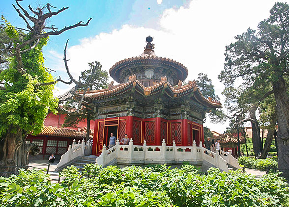 Imperial Garden, Forbidden City