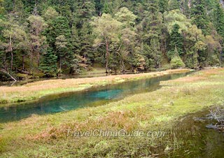 Reed Lake 