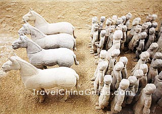 Xuzhou Museum of Terra-cotta Warriors and Horses of Han Dynasty