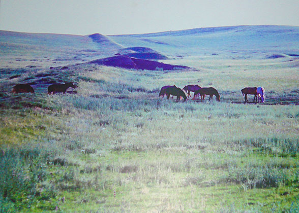 Ruins of Jin Great Wall in Siziwang Banner, Inner Mongolia