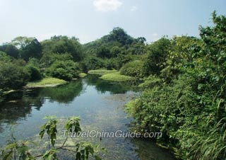 Flower Stream Park