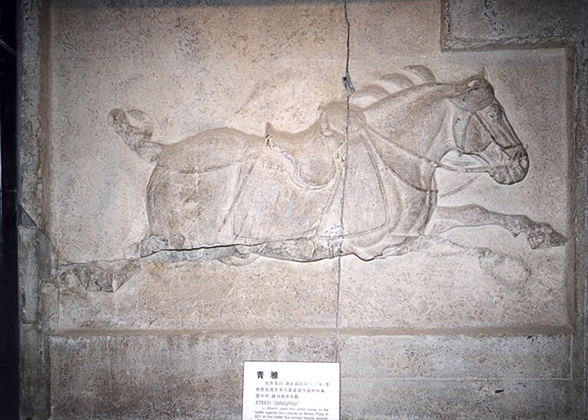 Qingzhui - one of the Six bas-reliefs in the Stone Steles Museum