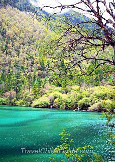 Panda Lake