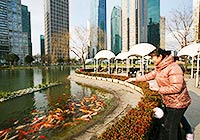 Lujiazui in November