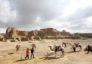 Camels in the Ghost Town