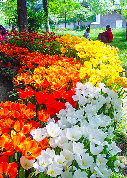 Shanghai Botanical Garden