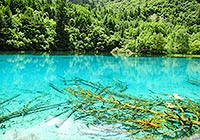 Jiuzhai Valley in July