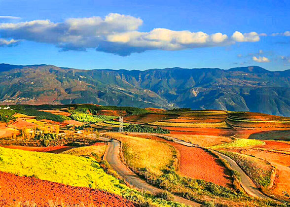 Dongchuan Red Land