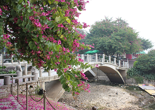 Love Island, Guilin