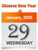 Chinese New Year Date 2025