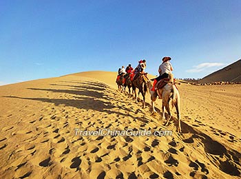 Riding Camels in the Desert