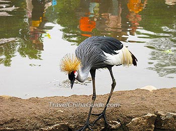 Chengdu Zoo