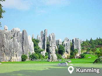 Stone Forest, Kunming