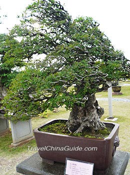 Bao's Family Garden