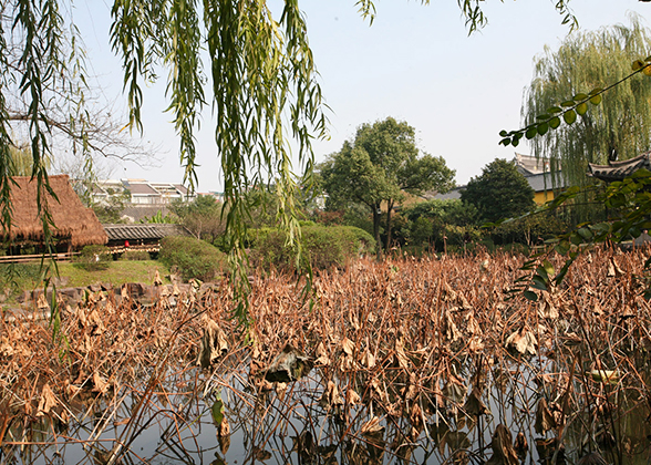 Shenyuan Garden