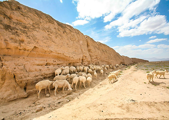 Shandan Great Wall in Gansu