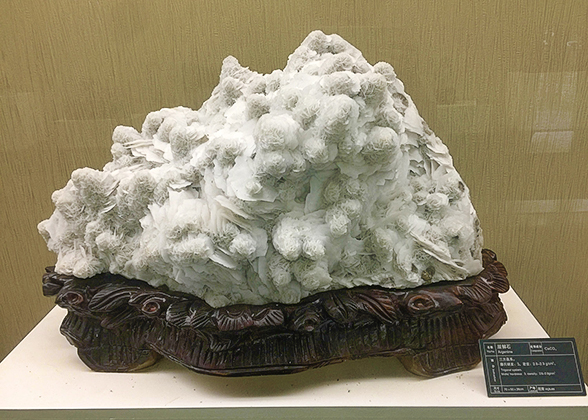 Collection in Qinling Zhongnanshan Global Geopark Museum