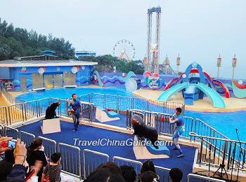 Hong Kong Ocean Park