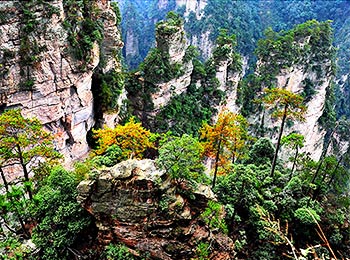 Zhangjiajie Summer