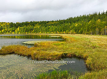 Arxan National Forest Park