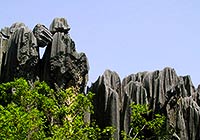 Stone Forest, Kunming