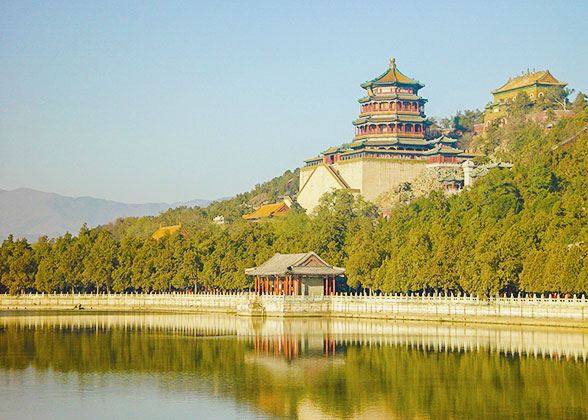 Longevity Hill