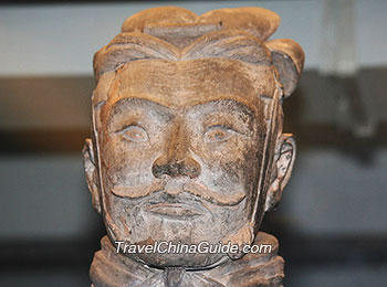 Moustache of Terracotta Warriors