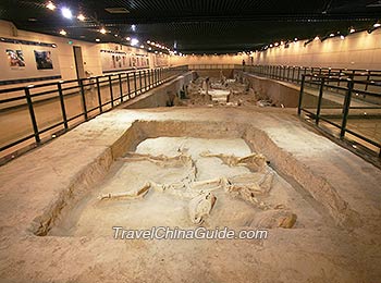 Museum of Luoyang Eastern Zhou Royal Horse and Chariot Pits