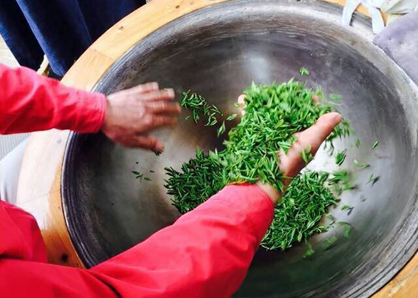 Longjing Tea Making Process