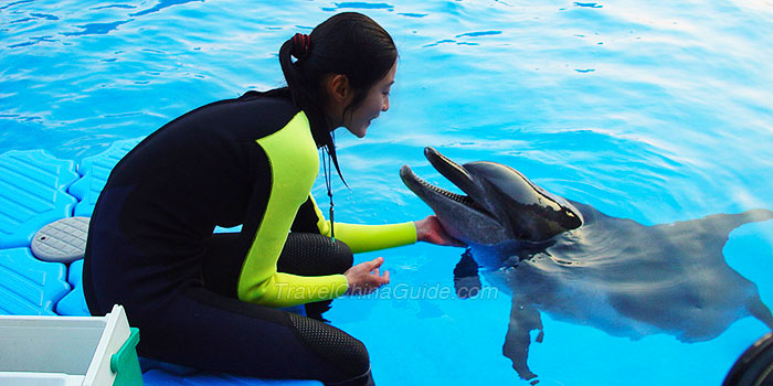 Hong Kong Ocean Park